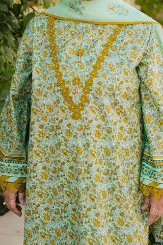 GUL AHMED -3 Piece Unstitched Printed Lawn Suit CL-52372 B